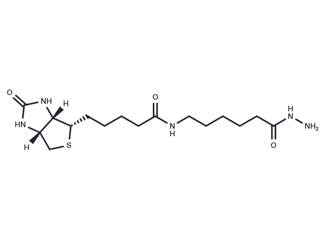 Biotin LC hydrazide Chemical Structure