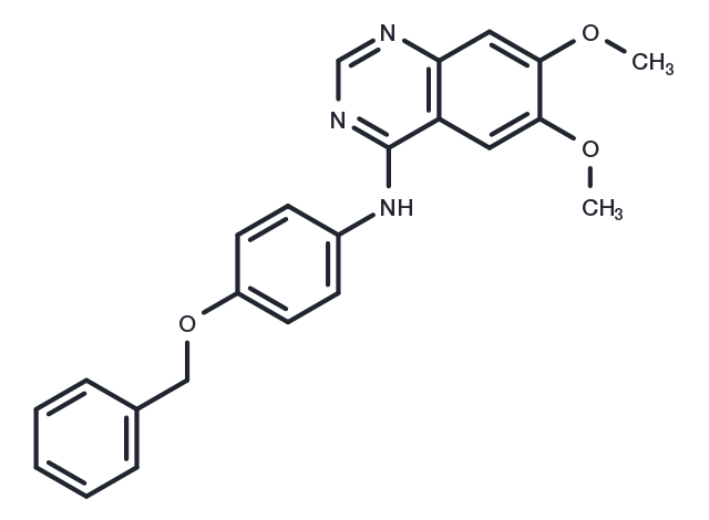 EGFR/ErbB-2/ErbB-4 inhibitor-2