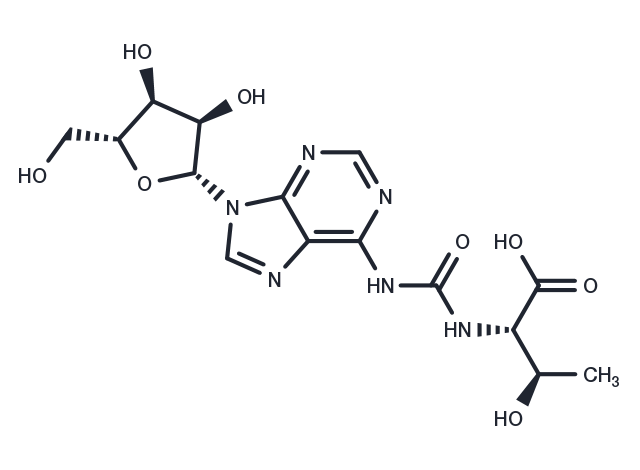 T6A Chemical Structure