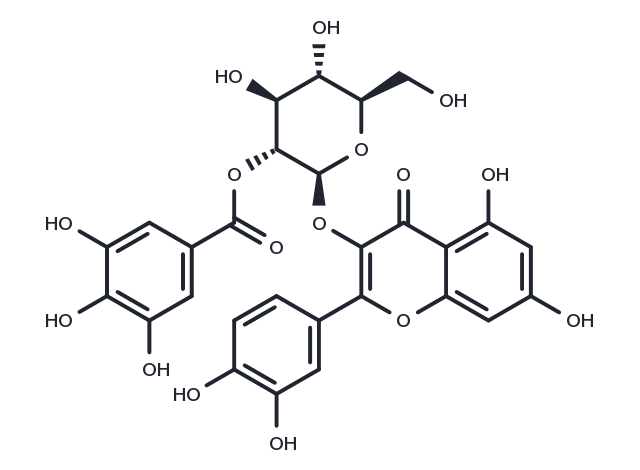 Quercetin-3-O-(2′′-O-galloyl)-β-D-glucopyranoside Chemical Structure