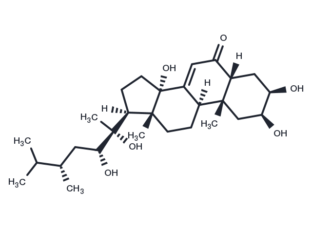 Polyporusterone A Chemical Structure