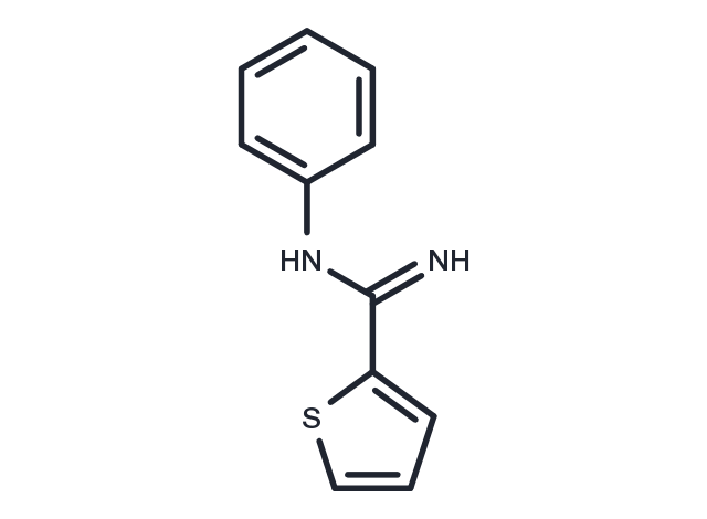 N-phenylthiophene-2-carboximidamide Chemical Structure