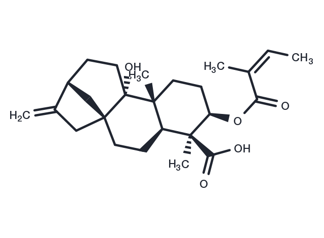 3alpha-Angeloyloxypterokaurene L3 Chemical Structure