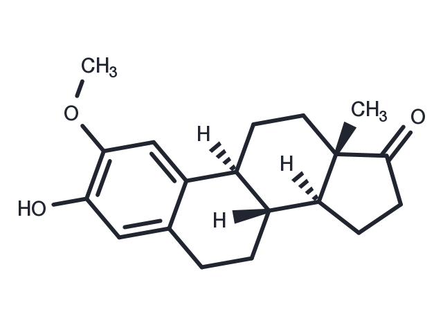 2-Methoxyestrone Chemical Structure