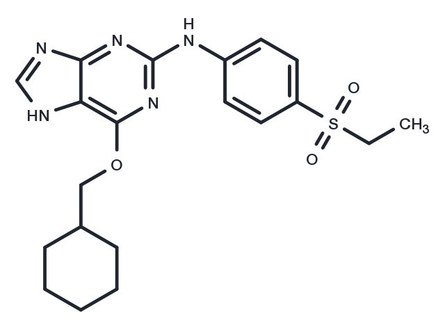 NU6310 Chemical Structure
