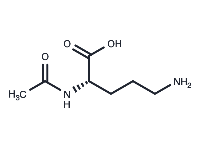 N-Acetylornithine Chemical Structure