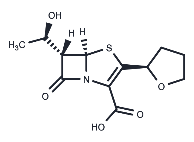 Faropenem Chemical Structure