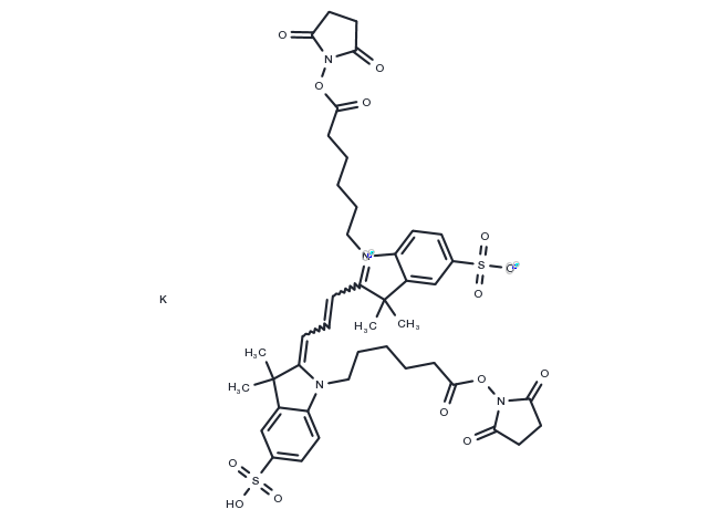 Sulfo-Cy3 diacid, SE Chemical Structure
