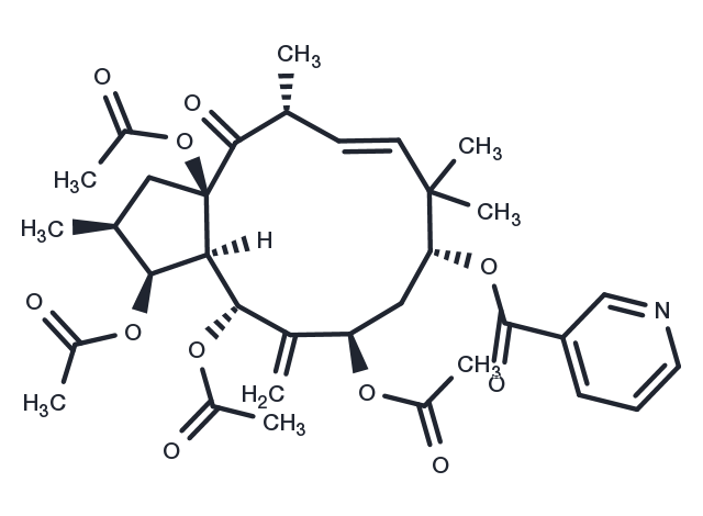 3,5,7,15-Tetraacetoxy-9-nicotinoyloxy-6(17),11-jatrophadien-14-one Chemical Structure