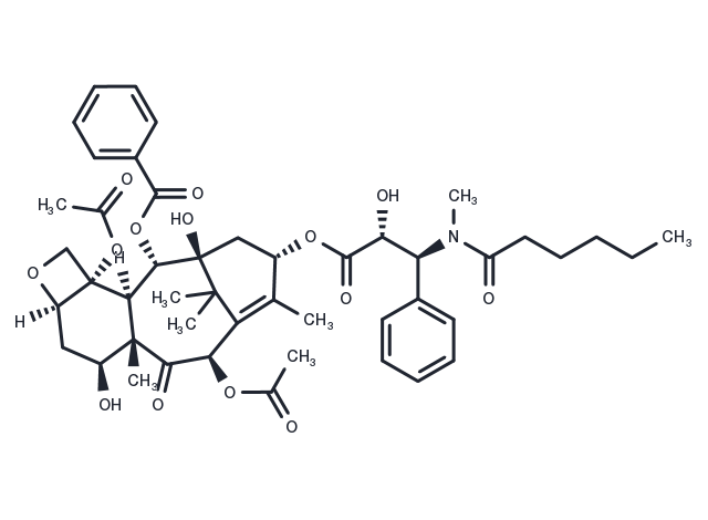 N-Methyltaxol C