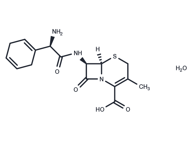 Cephradine monohydrate