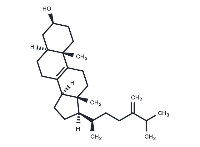 Fecosterol Chemical Structure