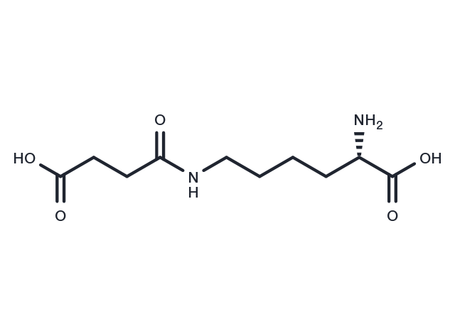 N6-Succinyllysine Chemical Structure