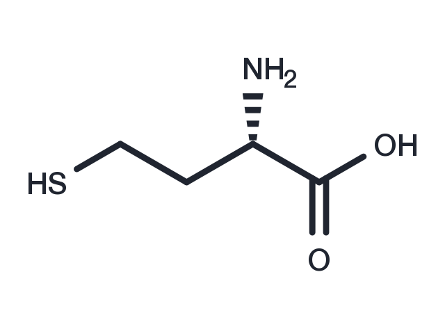 L-Homocysteine Chemical Structure