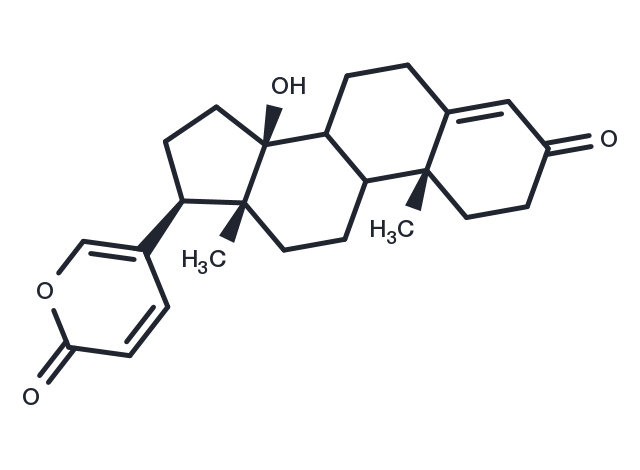 Scillarenin Chemical Structure