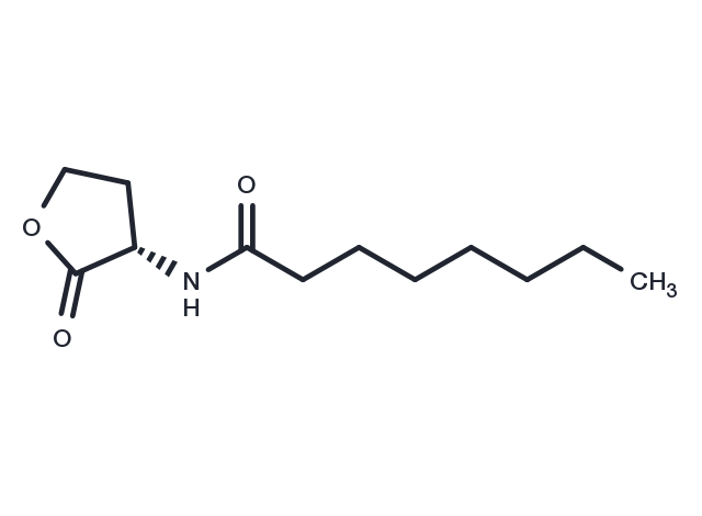 N-octanoyl-L-Homoserine lactone