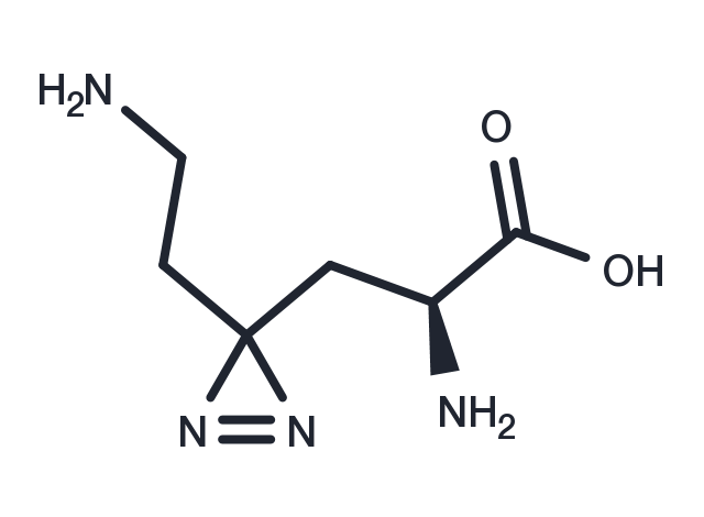 Photo-lysine Chemical Structure