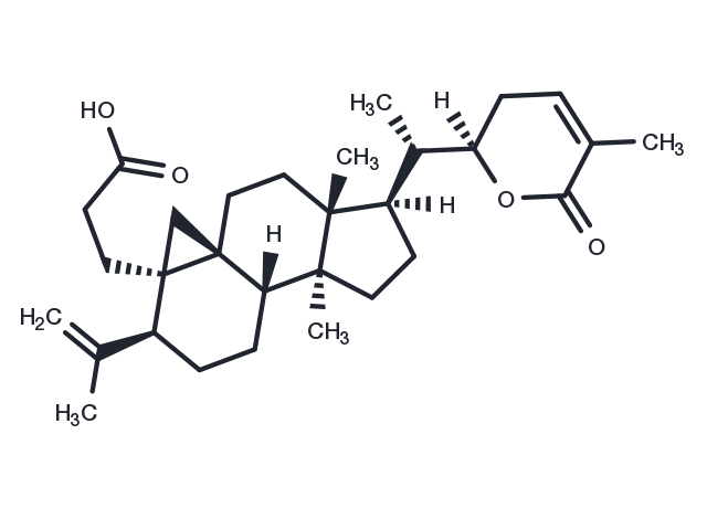 Schisanlactone E Chemical Structure