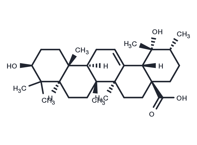Pomolic acid Chemical Structure