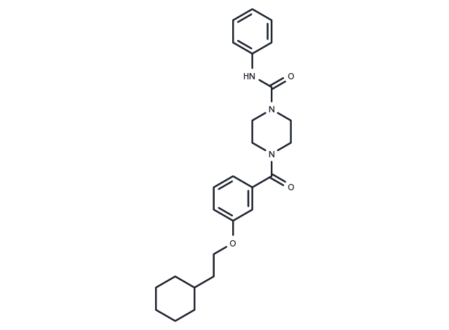 TM2 TEAD inhibitor Chemical Structure