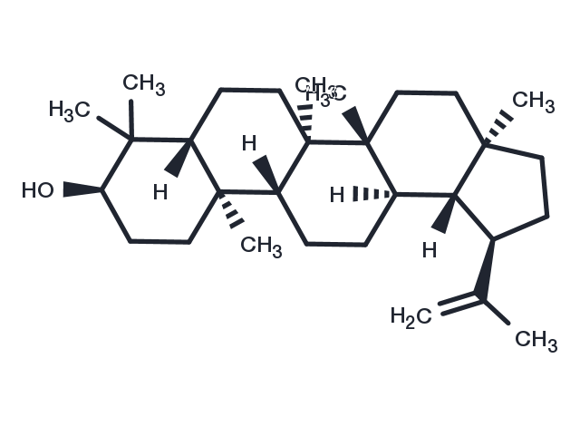 Epilupeol Chemical Structure