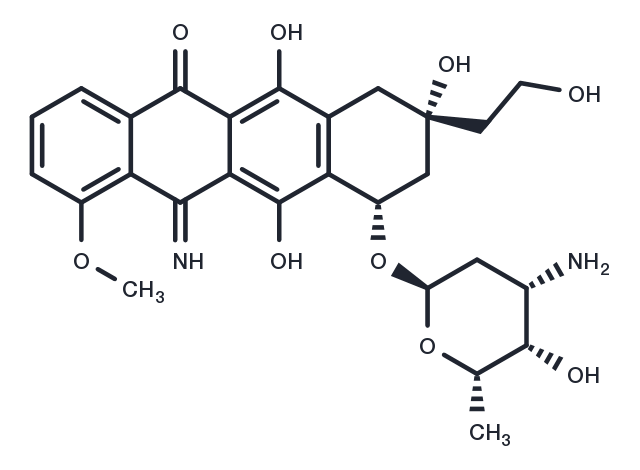 Camsirubicin Chemical Structure