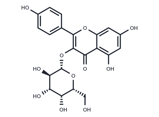 Kaempferol 3-O-β-D-galactopyranoside