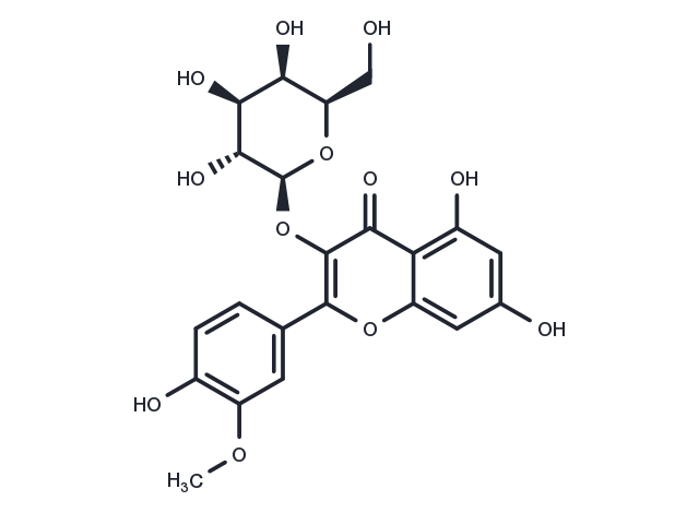 Isorhamnetin 3-O-galactoside