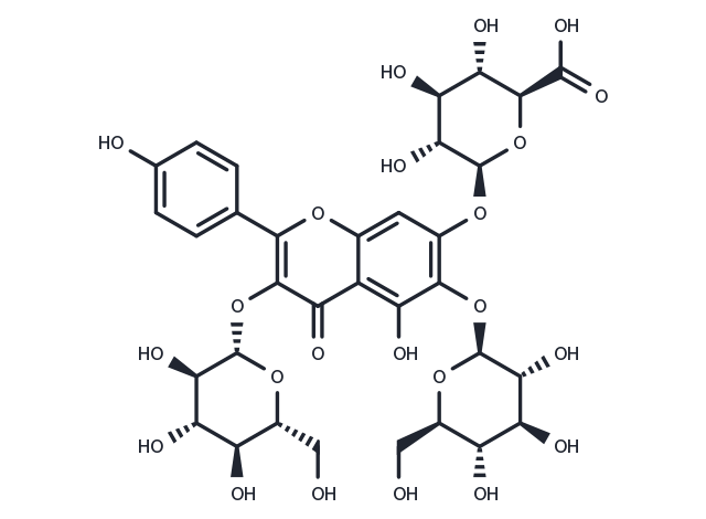 6-hydroxyl kaempherol-3,6-O-diglucosyl-7-O-Glucuronic acid