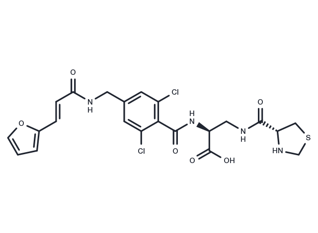 ICAM-1988 Chemical Structure