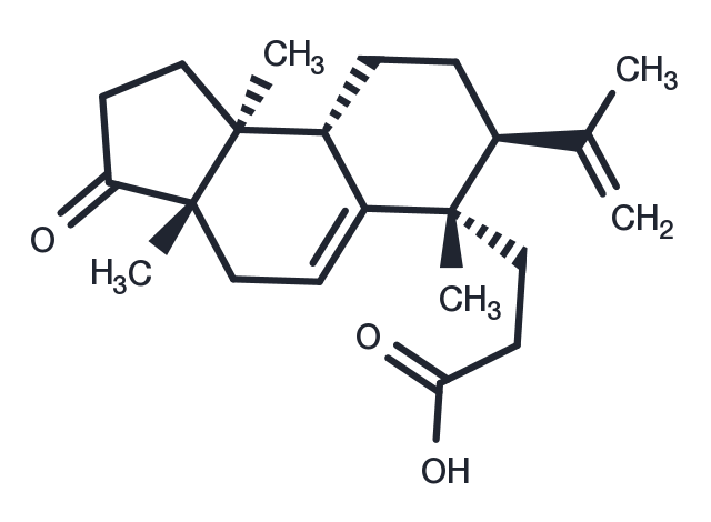 Micranoic acid A