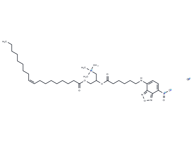 Fluorescent DOTAP Chemical Structure