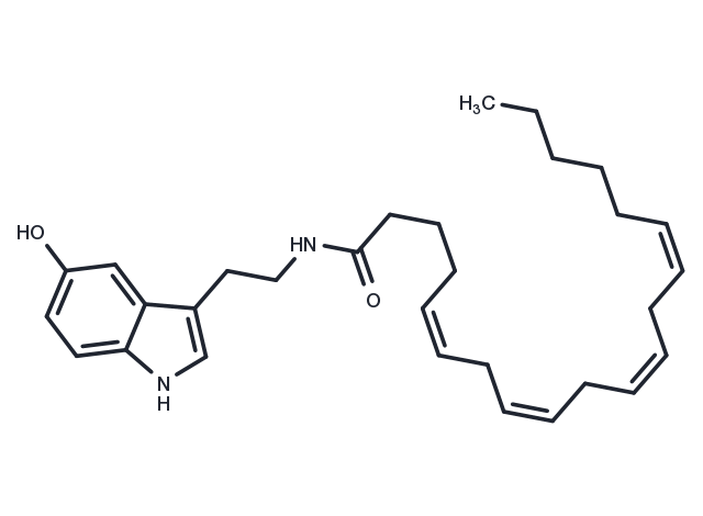 Arachidonyl serotonin Chemical Structure