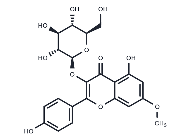 Rhamnocitrin 3-glucoside