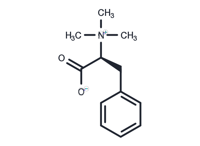 Phenylalanine betaine Chemical Structure