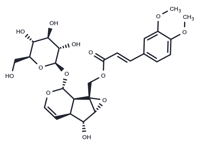 Lagotisoide D Chemical Structure