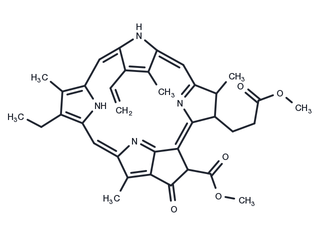 Methylpheophorbide A Chemical Structure