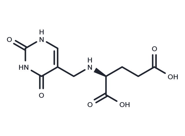alpha-Glutamylthymine Chemical Structure