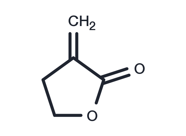 Tulipalin A Chemical Structure