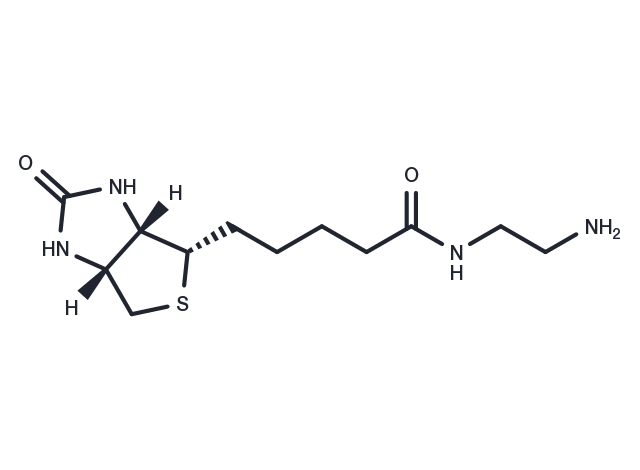 Biotin-EDA Chemical Structure