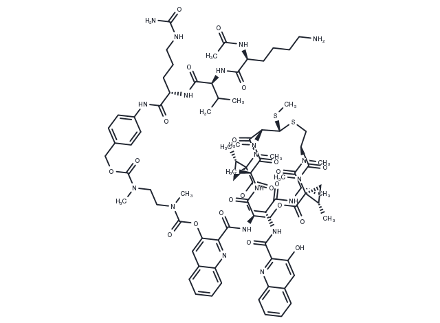 AcLysValCit-PABC-DMAE-SW-163D Chemical Structure