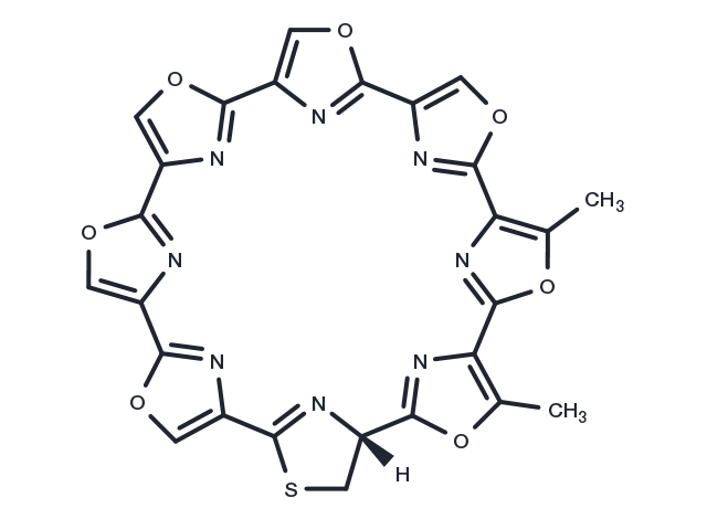 Telomestatin Chemical Structure