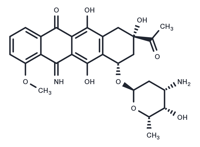 5-Iminodaunorubicin Chemical Structure