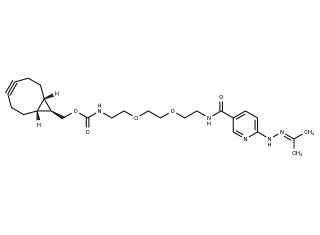 BCN-PEG4-HyNic Chemical Structure