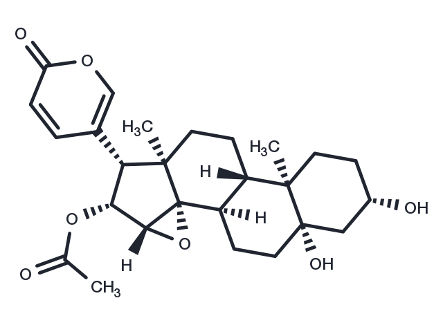 Cinobufotalin Chemical Structure