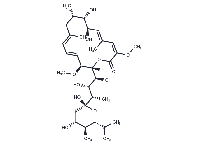 Bafilomycin A1 Chemical Structure