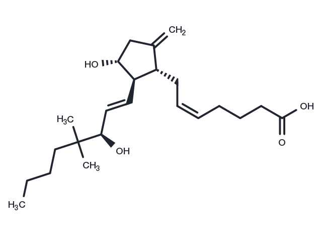9-deoxy-9-methylene-16,16-dimethyl Prostaglandin E2 Chemical Structure