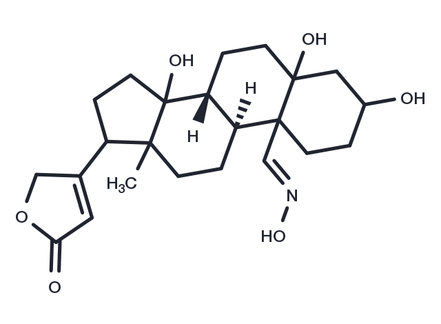 Compound 0449-0116 Chemical Structure