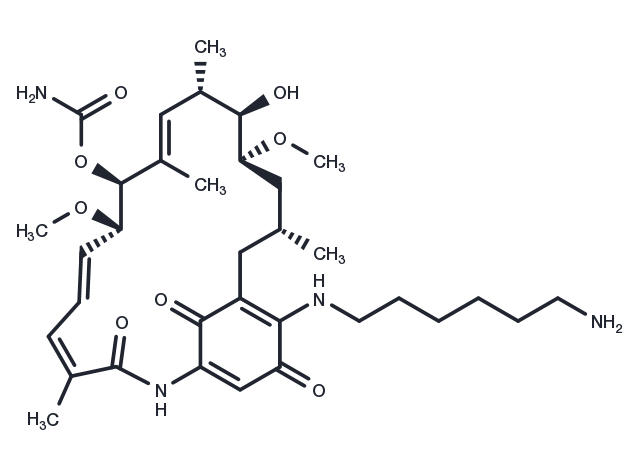 Aminohexylgeldanamycin Chemical Structure