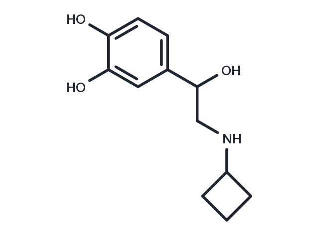 Norbudrine Chemical Structure